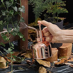 Liudan Watering Can Watering Can For Indoor Plants Mini Vintage Watering Pot Copper Watering Can Flower Watering Bottle for Outdoor and Indoor House Plants Water Can (Color : Gold) - Image 4
