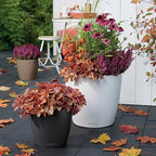 Classico Color 28 Slate, Self-Watering Round Planter, D11 H10.2 in - Image 6