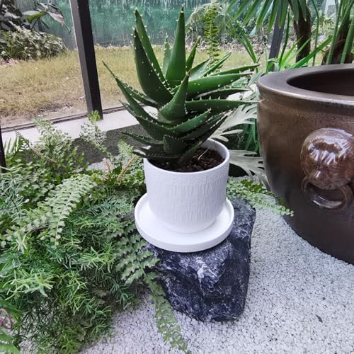 2 Pack Plant Water Catcher Tray - 7 Inch Ceramic Plant Saucer for Indoors/Outdoors, Round Flower Pot Saucer Plant Pot Saucer Plant Drip Trays for Potted Plants Drainage(Frosted White) - Image 5