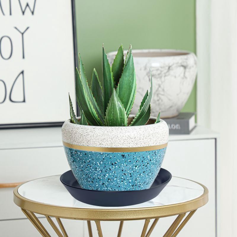 Plant Saucer 8 Inch, 2 Pack Large Plant Saucers Ceramic Tray 8 inch (7.3" Inner) for Flower Pot, Classic Sturdy Planter Water Catcher Tray for Plant Base,Black - Image 4