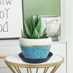 Plant Saucer 8 Inch, 2 Pack Large Plant Saucers Ceramic Tray 8 inch (7.3" Inner) for Flower Pot, Classic Sturdy Planter Water Catcher Tray for Plant Base,Black - Image 4
