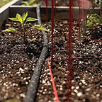 A.M. Leonard Simple Soak Garden Row Watering Kit - Image 5