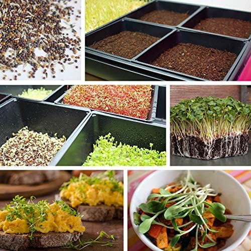 Handy Pantry 10-Pack 1010 Garden Growing Trays Without Drain Holes - Image 6