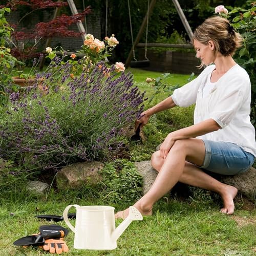 Metal Watering Can for Indoor Outdoor Garden Modern Minimalist Design with Detachable Sprinkler Head Ergonomic Comfort Grip Handle Efficient Irrigation Tool for Flower Lovers and (A, 24.5X11.5X11CM) - Image 2