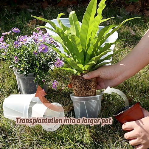 11" Clear Plant Nursery Pots with Drainage Plastic Orchid Pots 10 Pack - Image 4