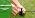 HIRALIY 118FT Drip Irrigation Kit, Quick-Connect Garden Watering System - Image 7