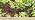 Rain Bird DRIPKITBAG Drip Irrigation Repair and Expansion Kit (Pack of 4) - Image 7