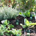 Blumat Plant Watering Devices - Tropf Maxi Outdoor Sensor Self Watering Planter Insert - Prevents Overwatering - Provides Consistent Hydration for Larger Plants and Deep Rooted Containers - 2 Pack - Image 5