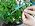 Automatic Watering System for Potted Plants - 10-Pot Indoor Plant Waterer with Timer, Leak-Proof Design & USB-C/Battery Power - Image 7
