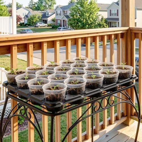 homenote 10 Pack 20 Cell Seed Starter Trays Compatible with 3 Inch Pots - Image 2