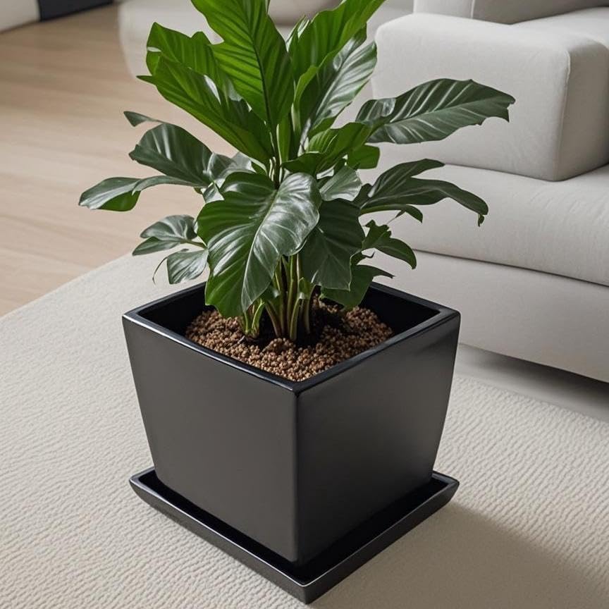 Square Ceramic Plant Saucer Tray 12 13 14 Inch Black,14" OD x12.2 ID x1.6 Deep, Sturdy Heavy Duty Glazed Planter Drip Flower pots with Catch Basin for Indoor Outdoor Plants(14" Black) - Image 6