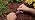 Rain Bird DRIPKITBAG Drip Irrigation Kit - Image 7