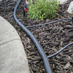 Rocky Mountain Goods Drip Irrigation Tubing - 100 Foot 1/2' Heavy Duty Blank Drip Hose For Main Line - Easy Tap In with Barbed Emitters and 1/4' Tubing to Plants - Kink and Leak Resistant - Image 3