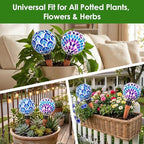 Plant Self Watering Worry-Free Set - Image 5