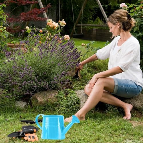 Metal Watering Can for Indoor 1L Garden Sprinkling with Ergonomic Handle Outdoor Care Tool (Blue, One Size) - Image 2