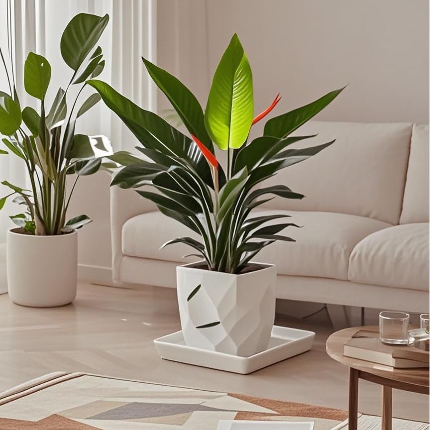 Square Ceramic Plant Saucer Tray 12 13 14 Inch White,14" OD x12.2 ID x1.6 Deep, Sturdy Heavy Duty Glazed Planter Drip Flower pots with Catch Basin for Indoor Outdoor Plants(14" White) - Image 6