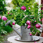 Garutom Galvanized Watering Can for Outdoor Indoor Plants, 1 Gallon Decorative Countryside Style Water Can with Removable Spout, Perfect Metal Watering Can for Indoor Plants and Garden Flower - Image 3