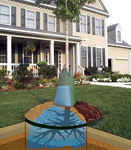 Treegator Original Slow Release Watering Bag for Trees, The Original Tree Watering Bag, Ideal for new or established trees, Fits trees from 1 to 8 inches in trunk diameter, Made in USA, Green - Image 5