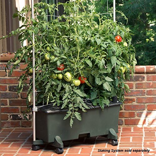 EarthBox 80151 Garden Kit, Organic, Green - Image 4