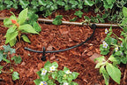 Rain Bird T22-100S Drip Irrigation 1/4" Blank Distribution Tubing, 100' Roll, Black (Pack of 4) - Image 3
