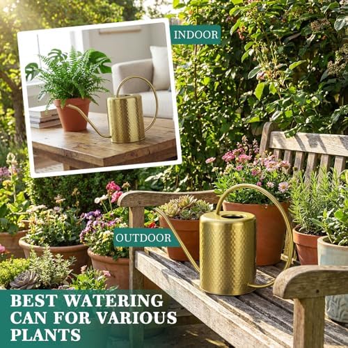 Zhehao Gold Stainless Steel Watering Can 2l/68oz with Long Spout for Plants - Image 4