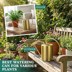 Zhehao Gold Stainless Steel Watering Can 2l/68oz with Long Spout for Plants - Image 4