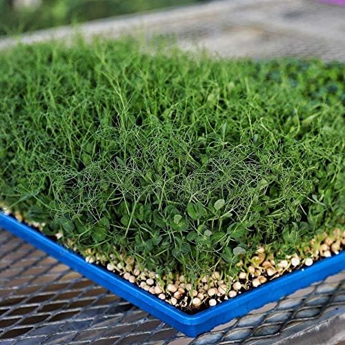 Bootstrap Farmer Extra Strength 1020 Trays, Purple with Holes, 10 Pack - Image 5