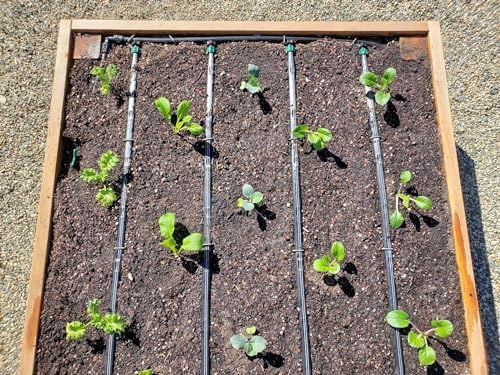 Rocky Mountain Goods Drip Irrigation Tubing - 100 Foot 1/2' Heavy Duty Blank Drip Hose For Main Line - Easy Tap In with Barbed Emitters and 1/4' Tubing to Plants - Kink and Leak Resistant - Image 5