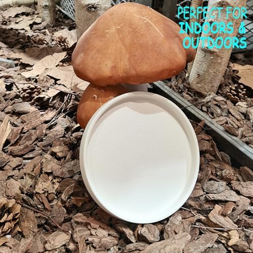 2 Pack Plant Water Catcher Tray - 7 Inch Ceramic Plant Saucer for Indoors/Outdoors, Round Flower Pot Saucer Plant Pot Saucer Plant Drip Trays for Potted Plants Drainage(Frosted White) - Image 2