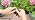 Drip Irrigation System, 165FT Garden Watering System with Water Timer - Image 7