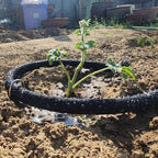 Atlantic Short Soaker Hose 15 FT x1/2" Garden Soaker Hose, Water Seeper Hoses for Foundation Watering, Garden Beds, Garden, Lawn and Plants-Solid Brass Connectors - Image 5