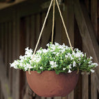 Root & Vessel Self Watering Hanging Planter for Indoor or Outdoor Plants, Unique Marbled Hanging Basket Made of Eco-Friendly Blend of Stone & Plastic, Rust, 12" - Image 2