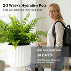 Ceramic Self Watering Plant Pot for Indoor Plant,5 inch,White,2pack - Image 6