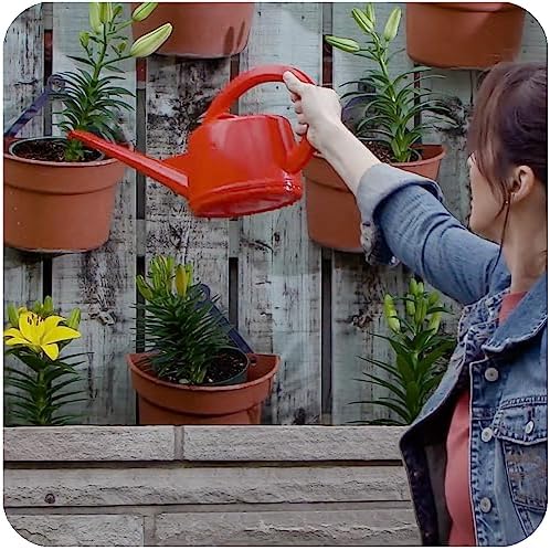 Consolidated Plastics Durable Swiss Watering Can with UV Protection, Ergonomic Handle for Indoor/Outdoor Gardening, Made in Switzerland (2 Liter) (Red) - Image 4
