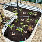 6pcs 3.5x3.5x7in Automatic Drip Irrigation Kits Garden Irrigation System Ollas Watering System for Your Garden 30 oz Plant Watering Devices for Garden Drip Plant Watering Stakes for Pots - Image 3