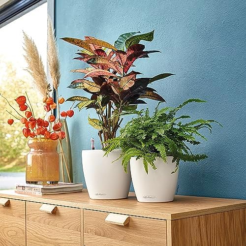 LECHUZA Classico Color 18 Garden Small Flower Plant Pot Indoor Outdoor Table Plastic Planter with Drainage Hole D19 H17 cm White - Image 6