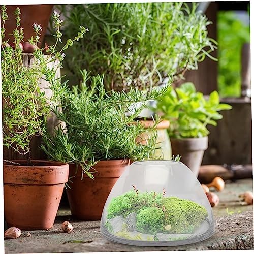 Landscape Glass Bottle Terrarium Holder for Plants Storage Container for Moss and Decor for Home and Garden Use - Image 7