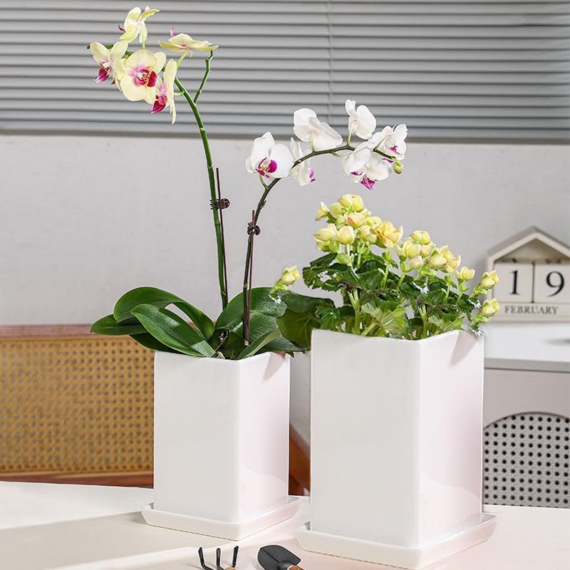 Square Ceramic Plant Saucer Tray 12 13 14 Inch White,14" OD x12.2 ID x1.6 Deep, Sturdy Heavy Duty Glazed Planter Drip Flower pots with Catch Basin for Indoor Outdoor Plants(14" White) - Image 5