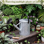 1 Pcs 1 Gallon Metal Watering Can for Indoor Outdoor Plants, Galvanized Garden Water Can with Long Spout and Dual Handles, Large Silver Watering Pot for Flowers, Houseplants, Yard - Image 4