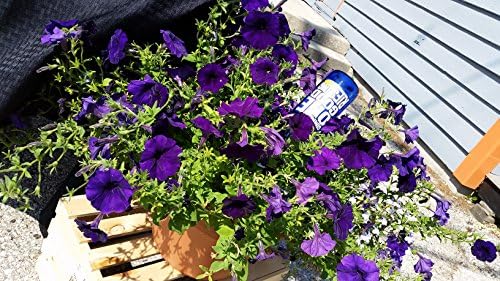 Adapters- Set of 5- Turns Your Wine Bottle Into a Plant Waterer! - Image 7