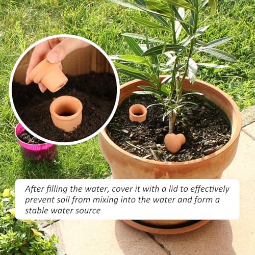 2pcs large Plant Watering Globes Ollas 10×5×5inch 61oz Terracotta Watering Pot Self Watering Planter Terra Cotta Clay Watering Spikes for Indoor Outdoor Plants Indoor Outdoor Large Reservoir Bulbs - Image 6