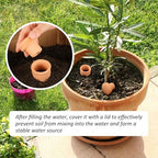 2pcs large Plant Watering Globes Ollas 10×5×5inch 61oz Terracotta Watering Pot Self Watering Planter Terra Cotta Clay Watering Spikes for Indoor Outdoor Plants Indoor Outdoor Large Reservoir Bulbs - Image 6
