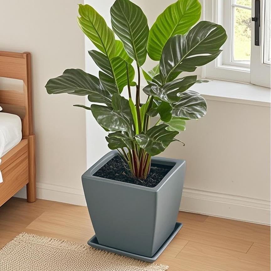 Square Ceramic Plant Saucer Tray 10 11 12 Inch Grey,12.4" OD x10.8 ID x1.4 Deep, Sturdy Heavy Duty Glazed Planter Drip Flower pots with Catch Basin for Indoor Outdoor Plants(12" Grey) - Image 3