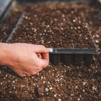 Bootstrap Farmer 128 Cell Seed Starting Tray Extra Thick Black 30 Trays - Image 2