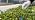 360° Adjustable Drip Irrigation System for Garden,Automatic Watering System - Image 7