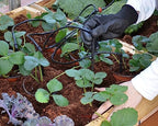 Palram - Canopia Greenhouse Drip Irrigation Kit for All Greenhouses - Image 4