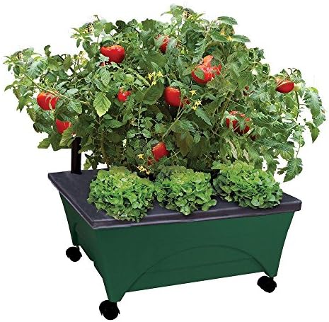Emsco Group 2341-1HD City Picker Raised Bed Self Watering and Improved Aeration – Mobile Unit with Casters-Hunter Green Grow Box and Seed Starter by EmscoGroup