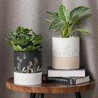 Nihow Self Watering Pots for Indoor Plants,6 Inch,White & Nature - Image 6