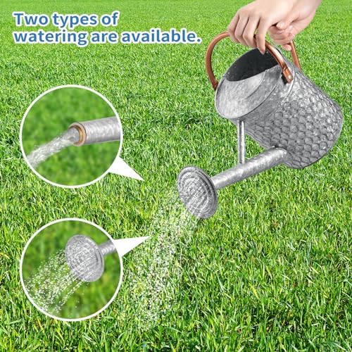 1 Gallon Metal Watering Can for Outdoor Indoor Plants, Galvanized Watering Can with Removable Spray Spout, Ideal for Garden Watering - Image 4