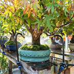 Bendable Drip Irrigation System Kit for Raised Bed Landscape Plants Lawn by Unknown
